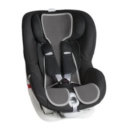 Foderina Segg. Gr.1 Grigia