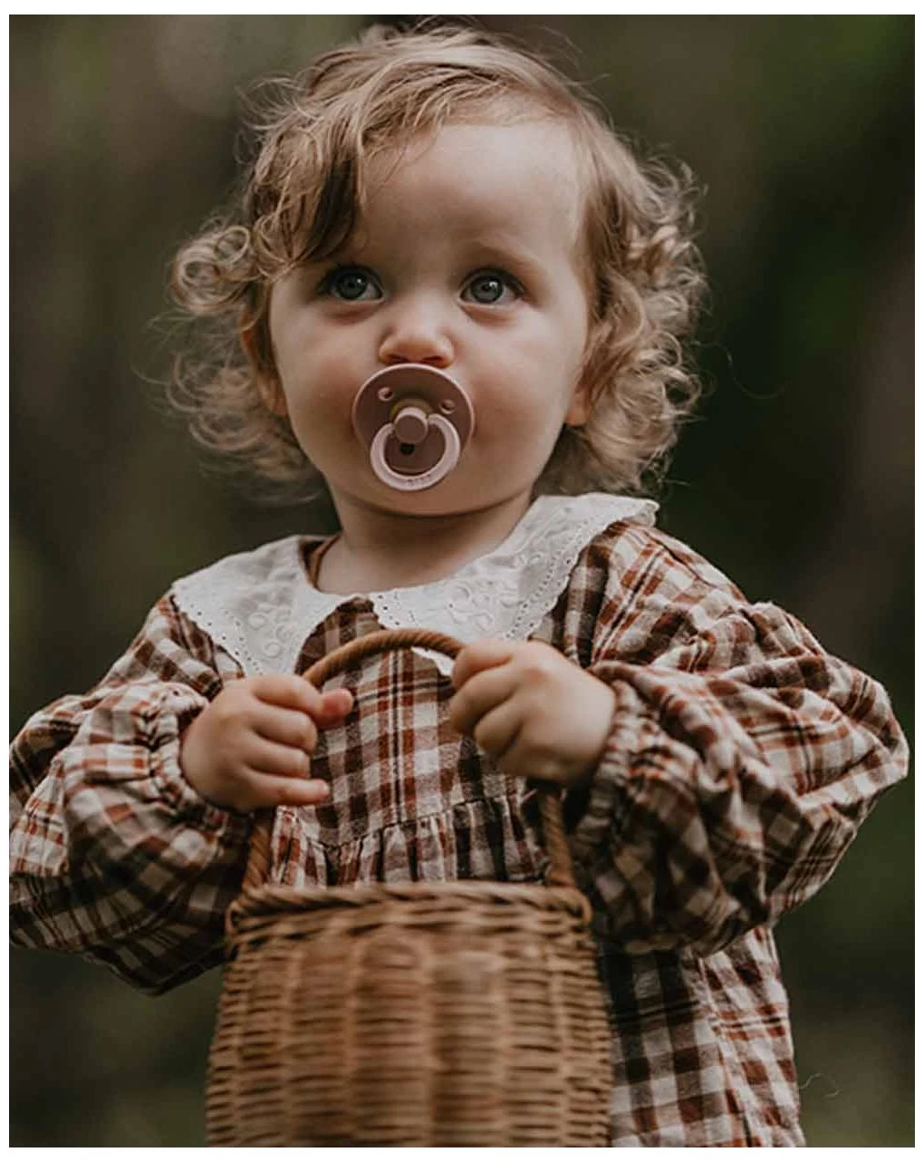 Set 2 Ciucci Tettarella Tonda In Gomma Naturale 6/18 Mesi - Colore Pink Plum E Sambuco - Bibs 3 Set 2 Ciucci Tettarella Tonda In Gomma Naturale 6/18 Mesi - Colore Pink Plum E Sambuco - Bibs